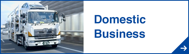 Domestic Business