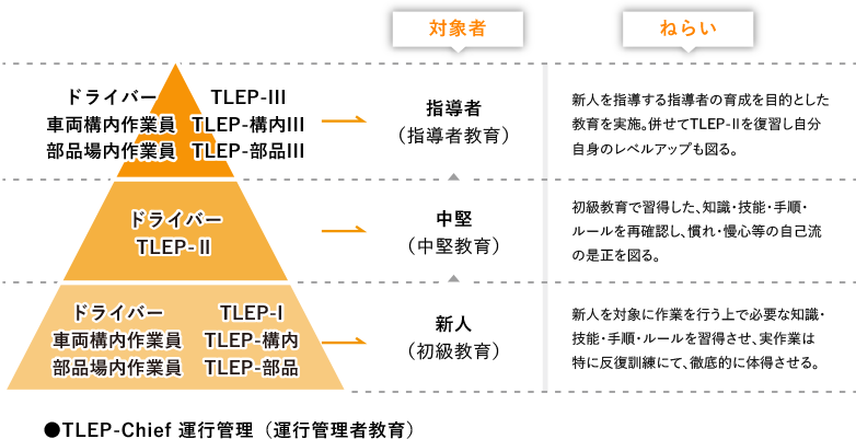 TLEPの教育体系 